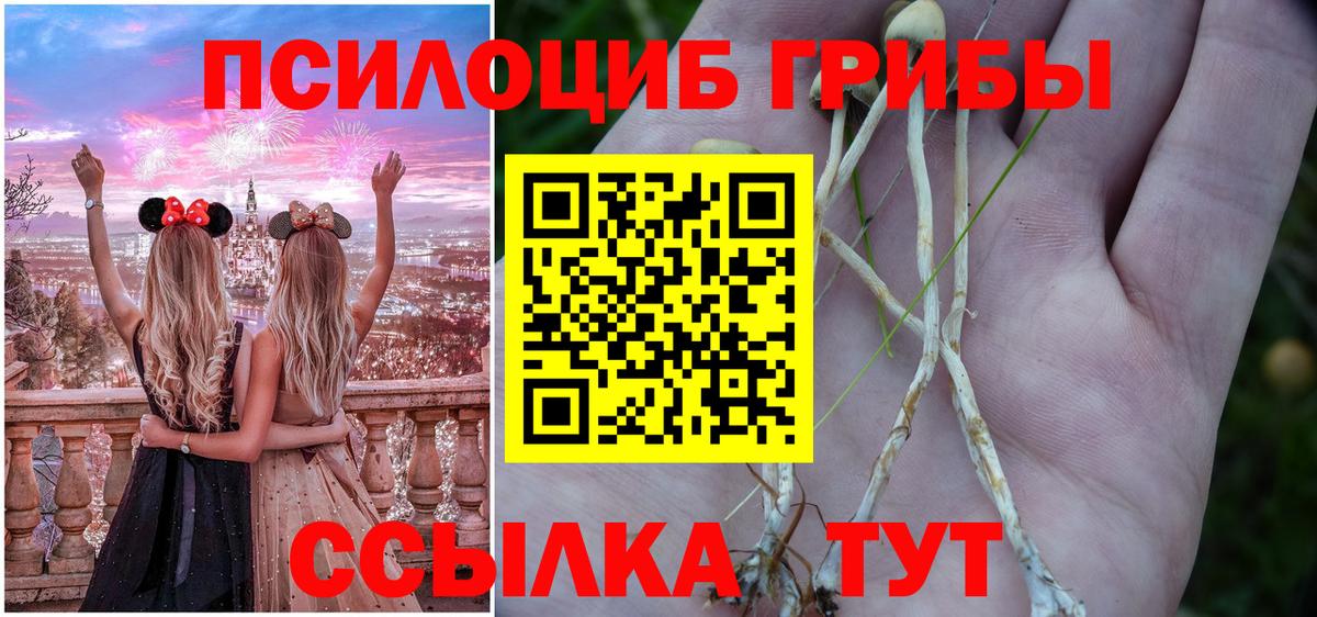 Улан-Удэ  Галлюциногенные грибы мухоморы  Галлюциногенные грибы MAGIC MUSHROOMS  Вход с VPN 